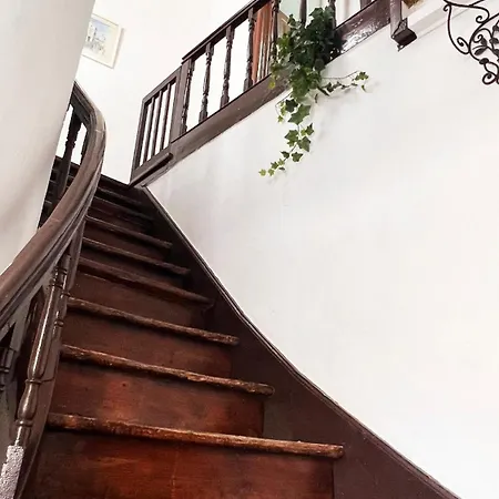 Typical At Se Velha Square Coimbra