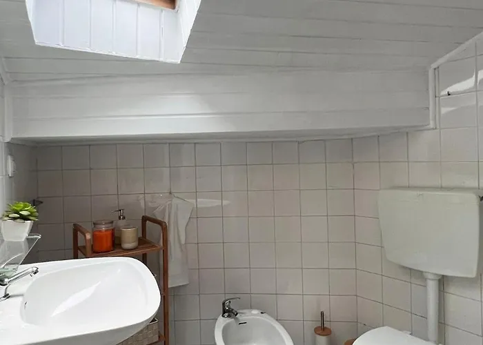 Typical At Se Velha Square Διαμέρισμα Κοΐμπρα